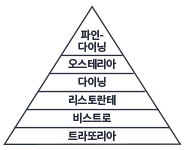 피라미드